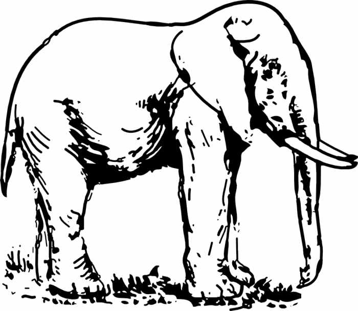 Elephant Clipart Black And White | Clipart library - Free Clipart Images