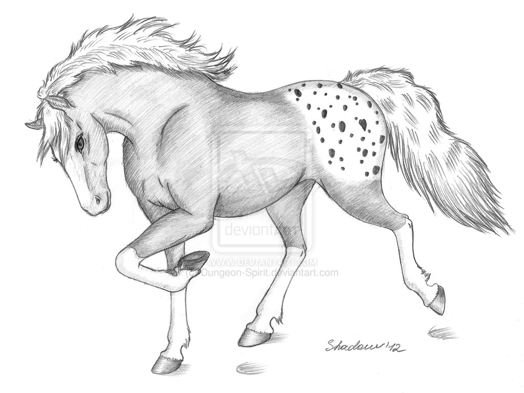 How to draw a cute cartoon Horse - Draw cute animals - YouTube