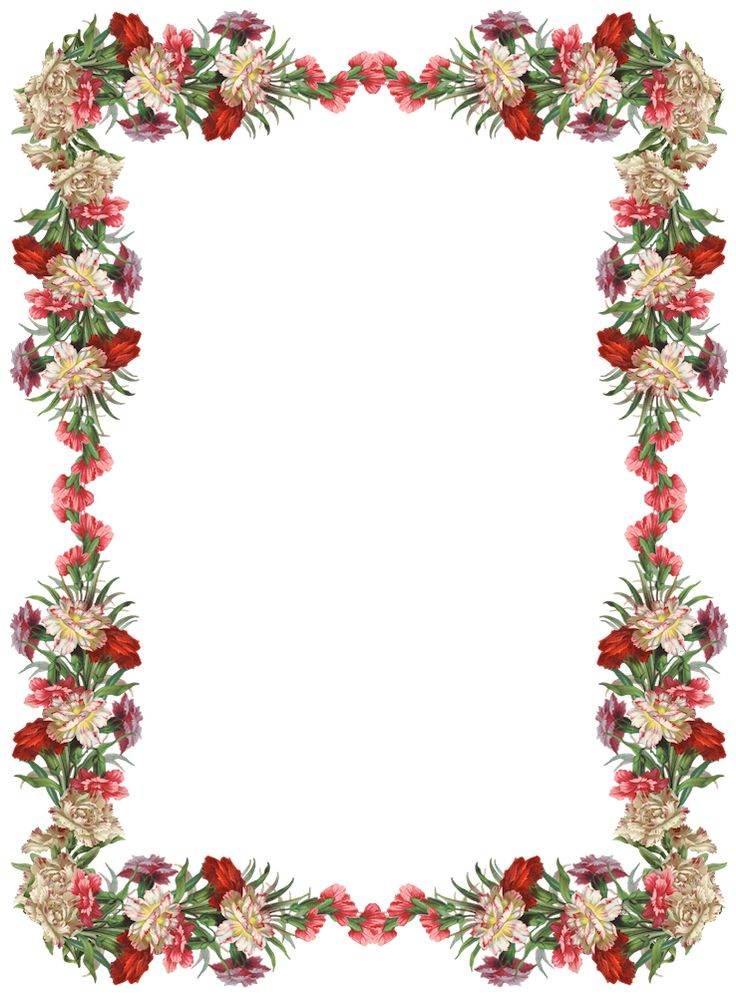 FREE digital vintage flower frame and border png with transparent 
