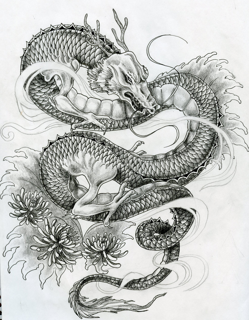 Japanese Dragon png images  PNGWing