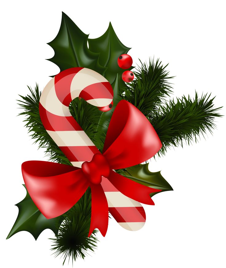 Festive Christmas arrangement with candy cane, red bow, holly leaves, and pine needles on white background.