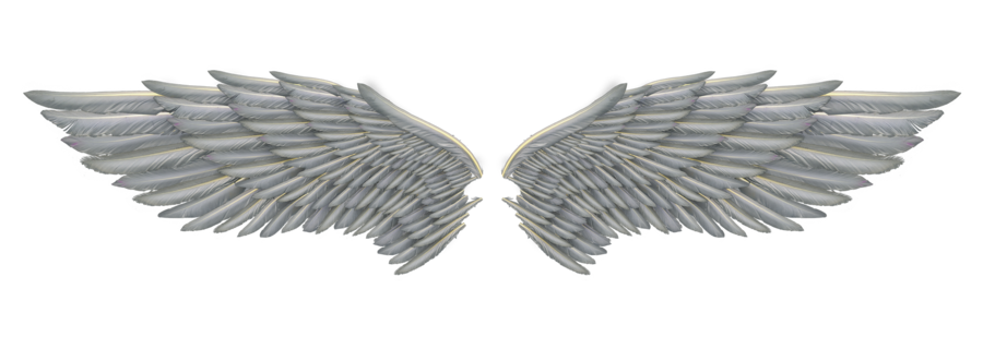 angel wings 01 by Marioara08 on Clipart library