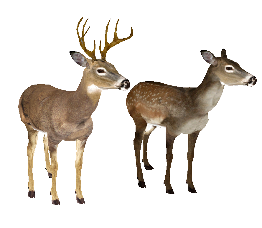 Deer Brushes by thenova7339 on Clipart library