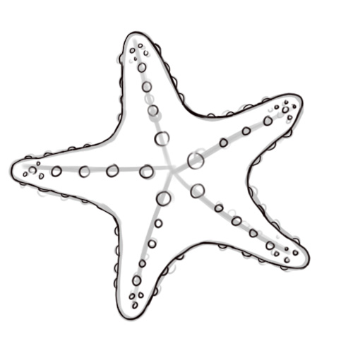 free-starfish-template-download-free-starfish-template-png-images