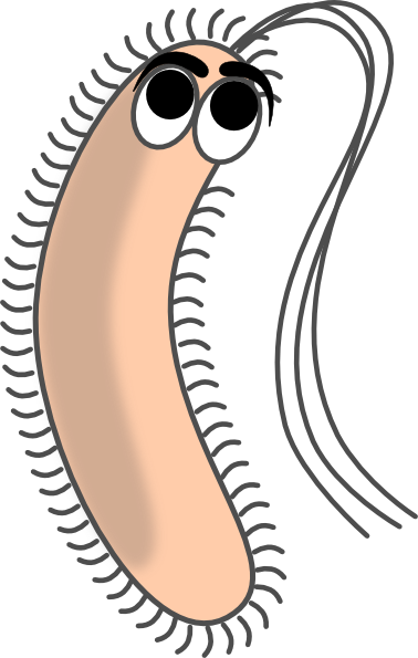 Modified Funny Bacteria clip art - vector clip art online, royalty 