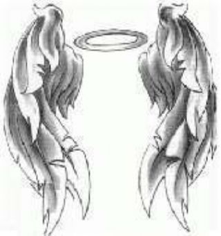 Small Angel Wings Tattoo Designs  फट शयर