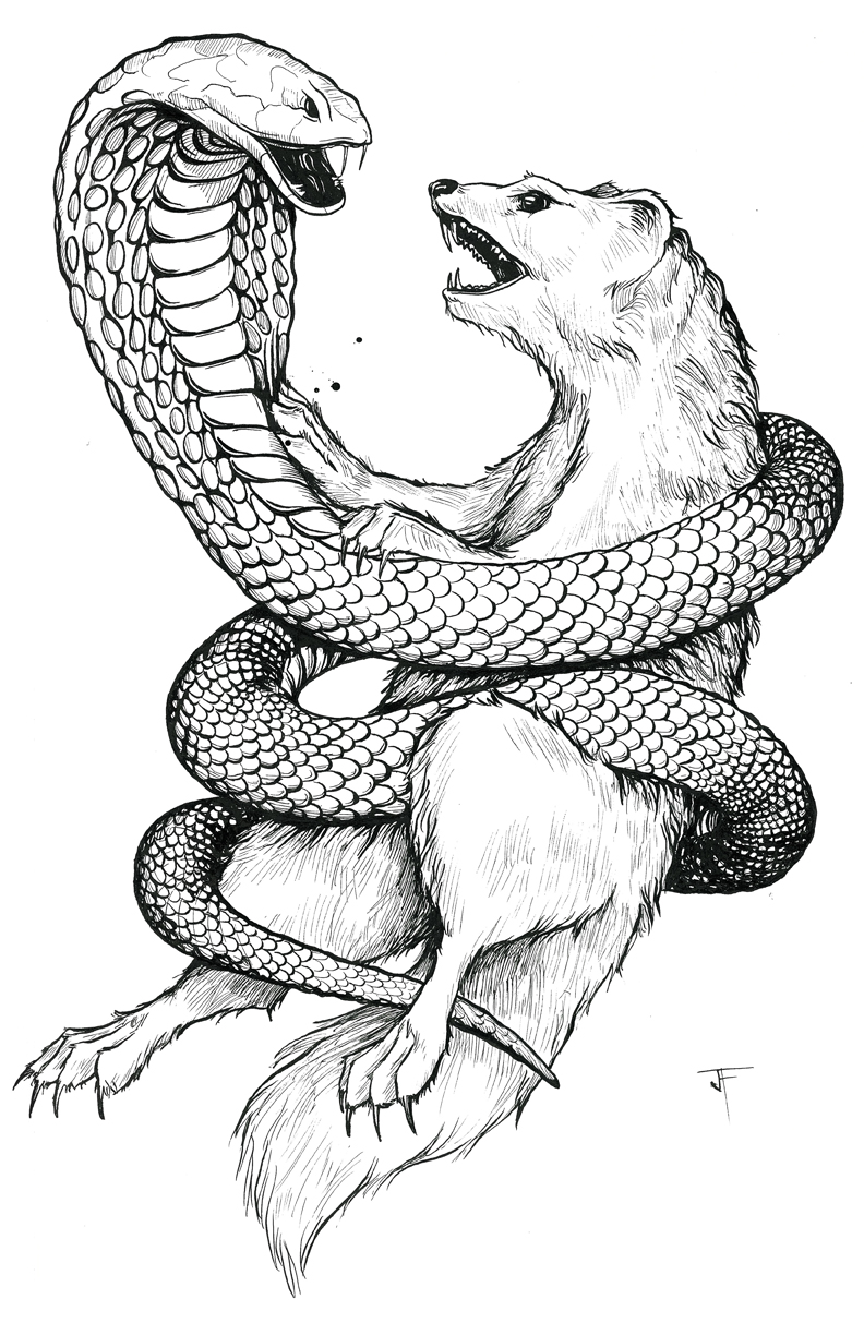 Cobra Svg snake Vector Graphics-cobra Drawing Svg-cobra Snake Reptilia  Silhouette-cobra Illustration-cobra Svg for Cricut Svg Png Dxf Files - Etsy  Hong Kong