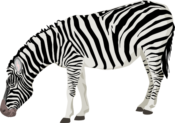 Free to Use  Public Domain Zebra Clip Art