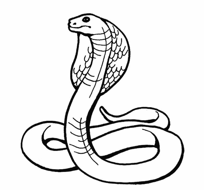 easy snake sketch
