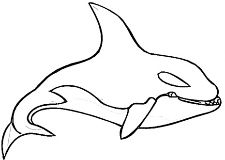 Orca Whale Coloring Page - Free Printable for Kids & Educators