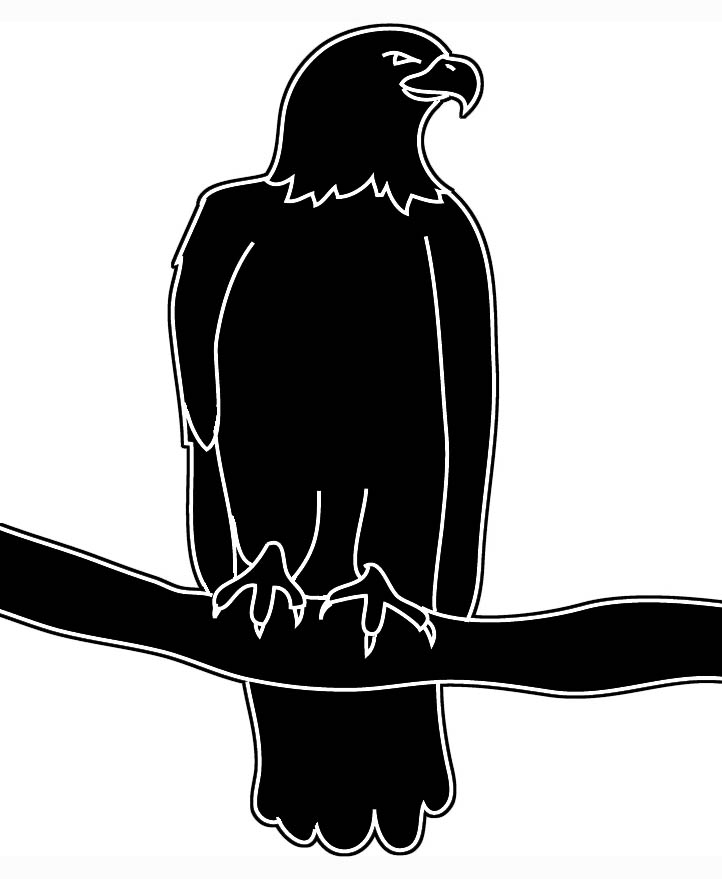 Bald Eagle Silhouette