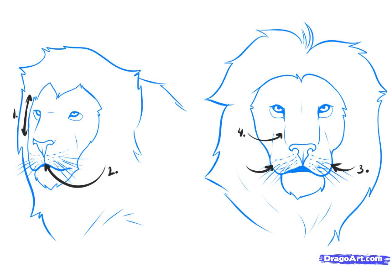 how to draw lion head step by step