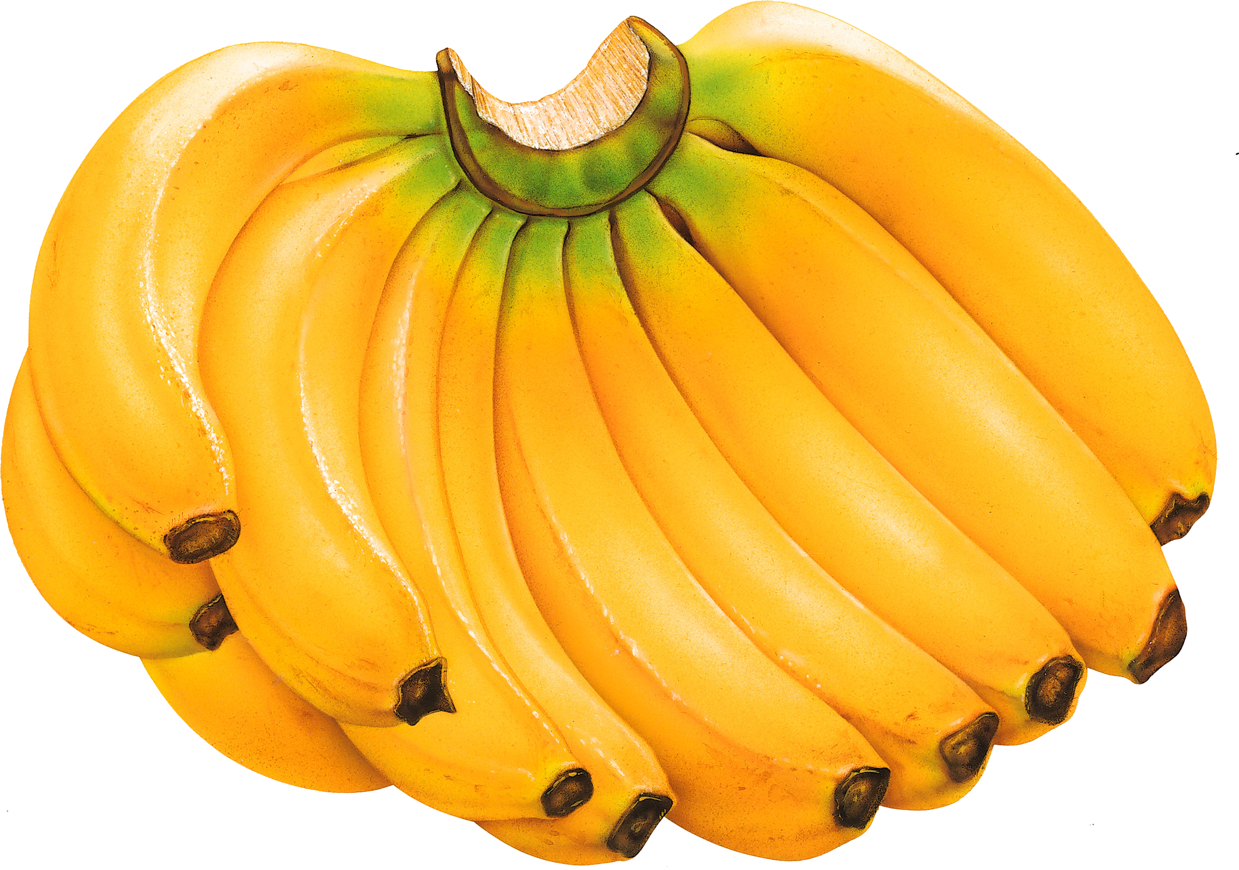 Adult Banana Costume Clip Art Library