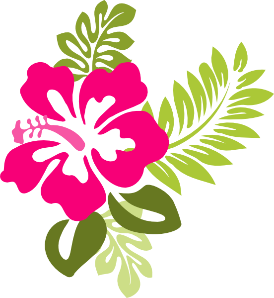 Related Pictures Illustration Of A Hibiscus Flower Border Acclaim 