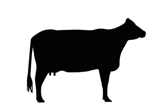 Cow silhouette as sign or clipart by naturaldigital | Redbubble