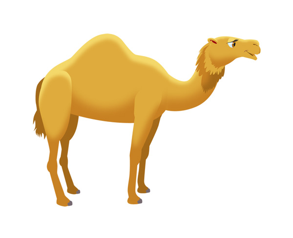Camel Clip Art | animalgals