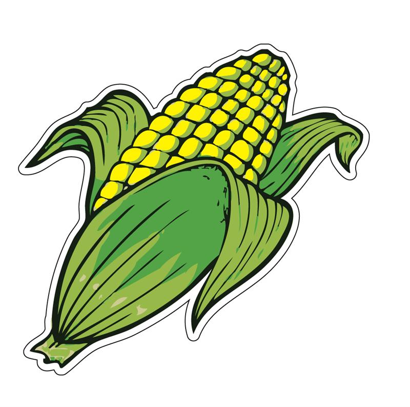 Corn on the Cob Decal Concession Decal