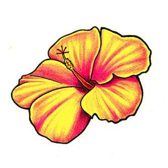 Free Hibiscus Flower Design, Download Free Clip Art, Free Clip Art on ...