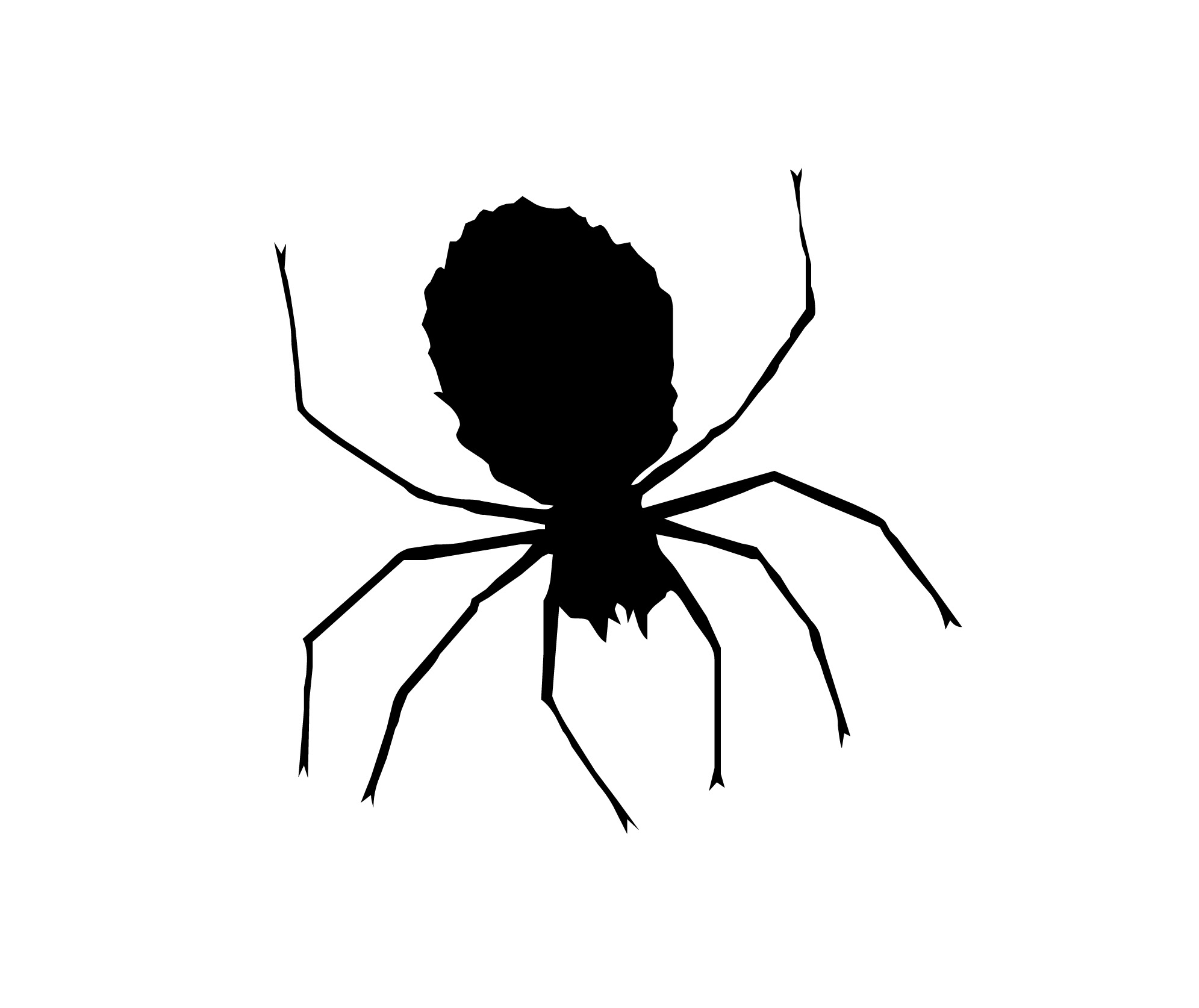 Паук черный паук для детей