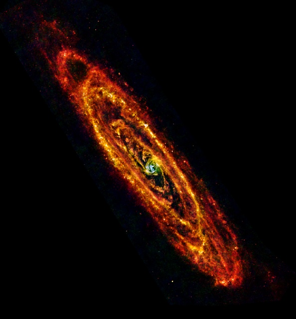 Black ink illustration of a crow in mid-flight with detailed feather linework against a pale blue background.