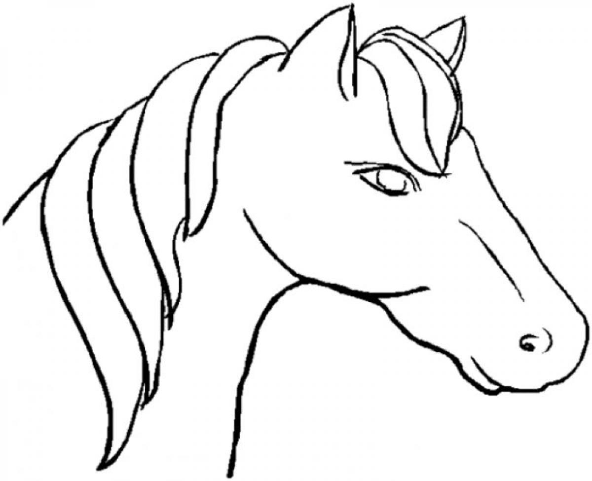 arabian horse head coloring page