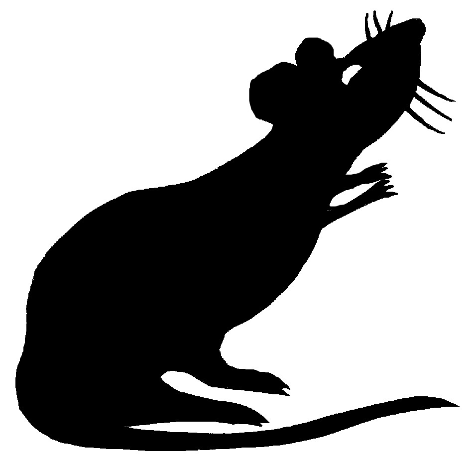 dk Art and Stuff: Rats and Bats - Clipart library - Clipart library