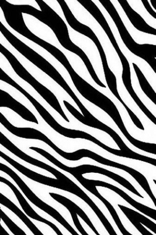 Zebra print Wallpaper for Android by Musical Bands Celebrity Art 