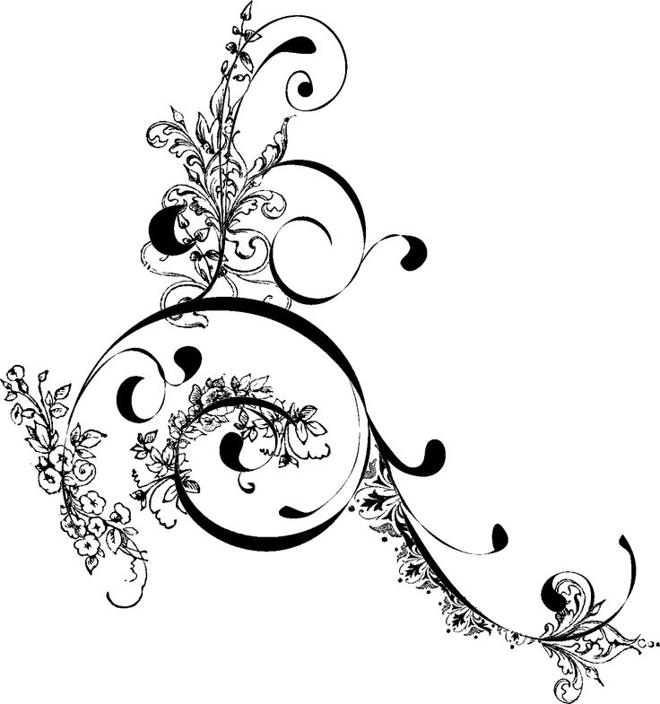 Ornate Floral Swirl Vector Decoration - Free Download & Design Use