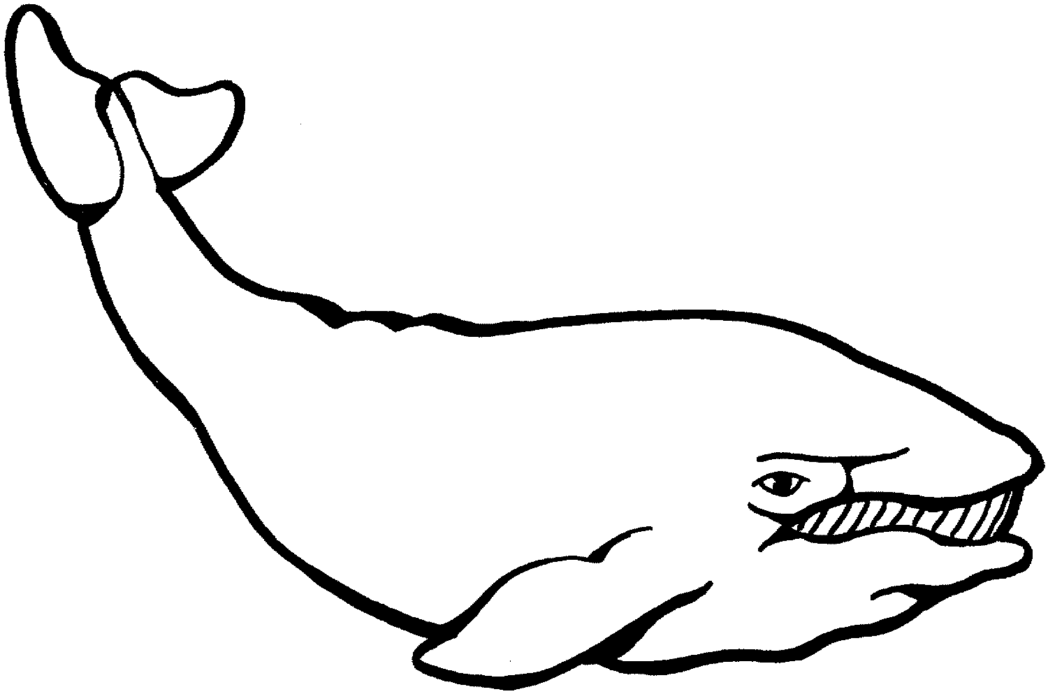 Синий кит раскраска