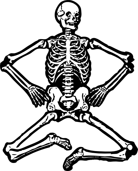 Human Skeleton clip art - vector clip art online, royalty free 