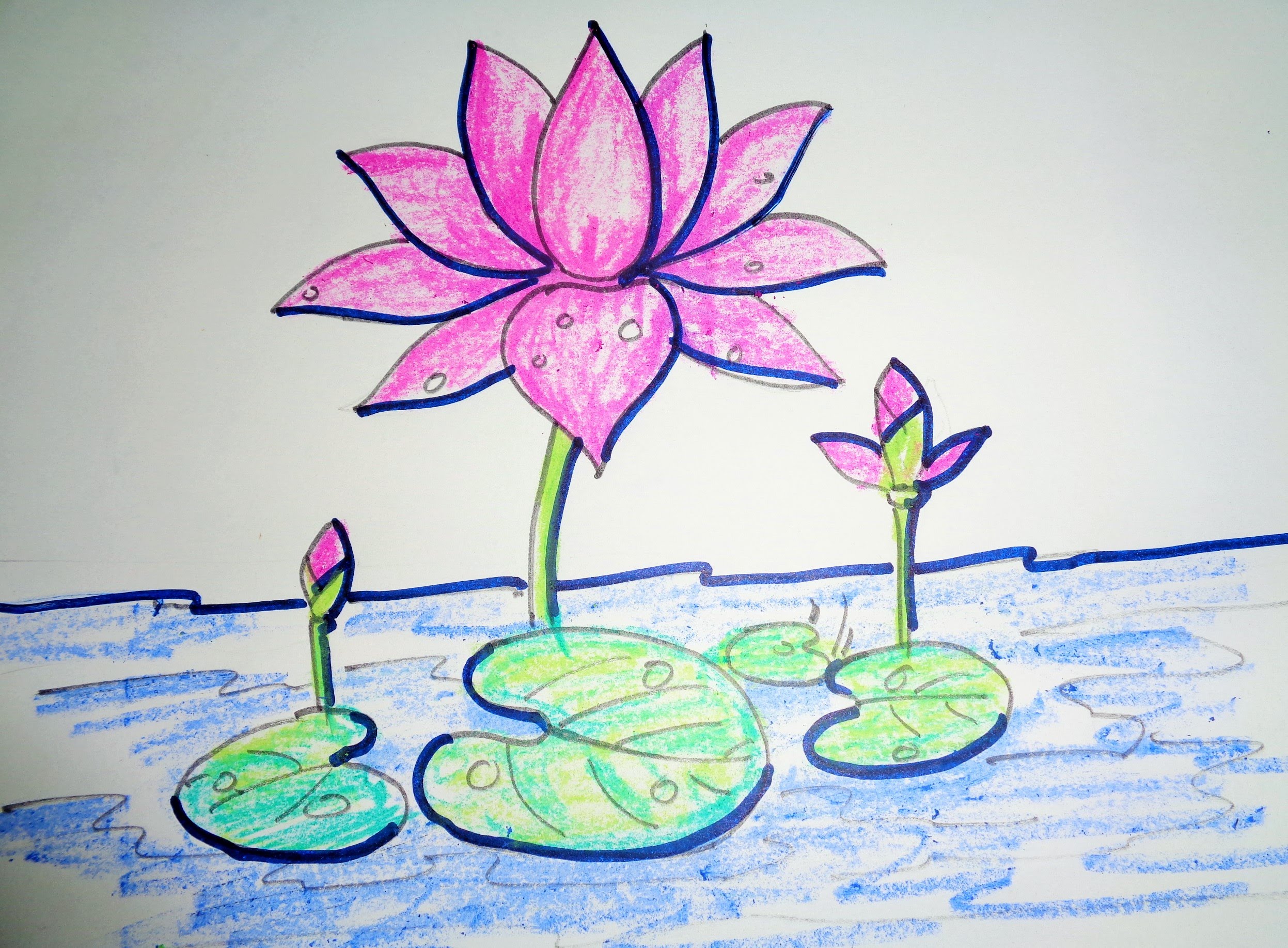 Lotus Illustration A Pencil Sketch Stock Illustration - Download Image Now  - Anniversary, Botany, Celebration - iStock