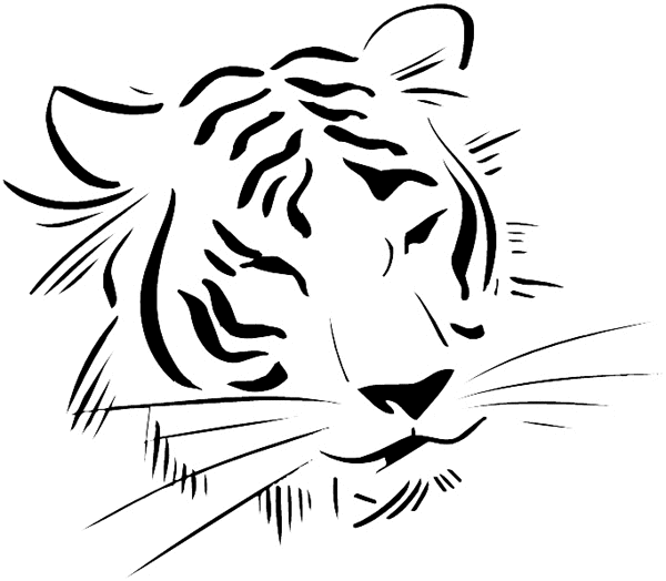 Download Tiger Face At Getdrawings - Tiger Face Drawing Easy - Full Size  PNG Image - PNGkit