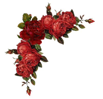 red rose border clip art