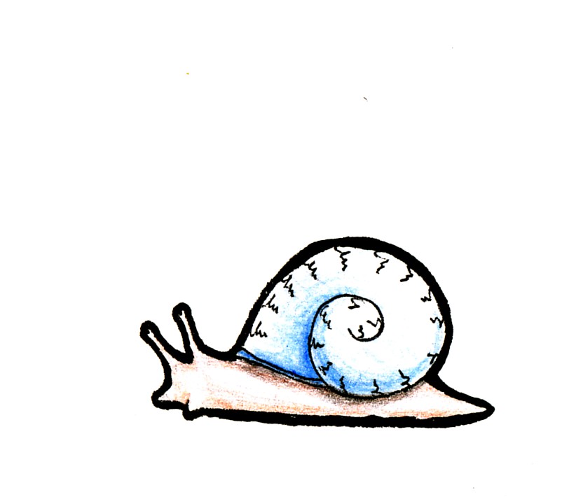 73 Dreamy Snail Tattoo Ideas The Cutest Creatures  Tattoo Glee