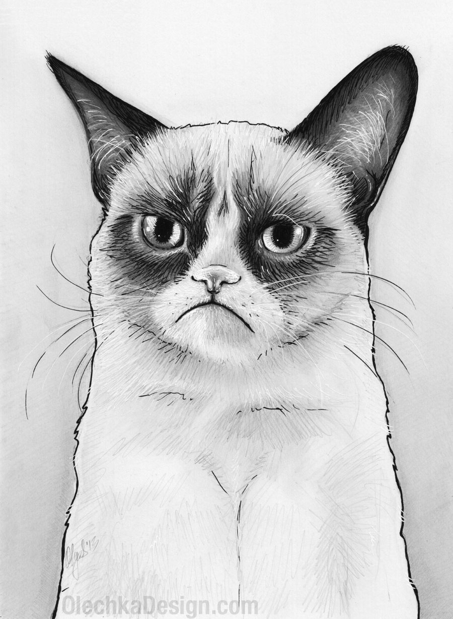 Free Cat Drawing, Download Free Cat Drawing png images, Free ClipArts ... Cats Drawing Tumblr