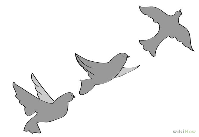 flying bird drawing  rdrawing