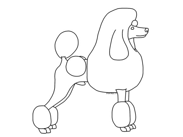 A Simple Drawing of Poodle in Lineart Coloring Page - Free 