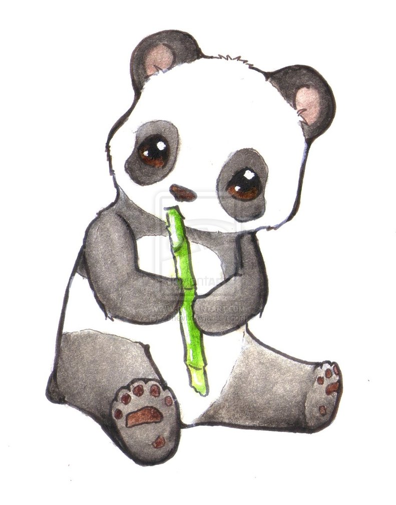 cute baby panda sketch