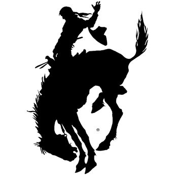Bucking Horse Tattoo | animalgals