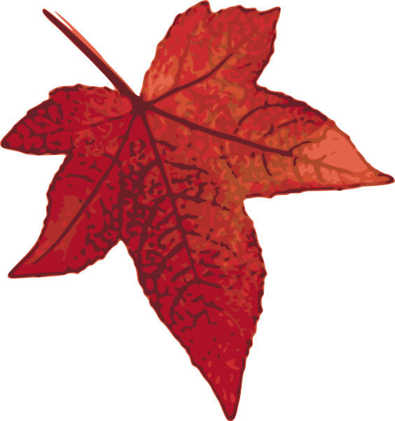 Red maple leaf SVG Vector file, vector clip art svg file 