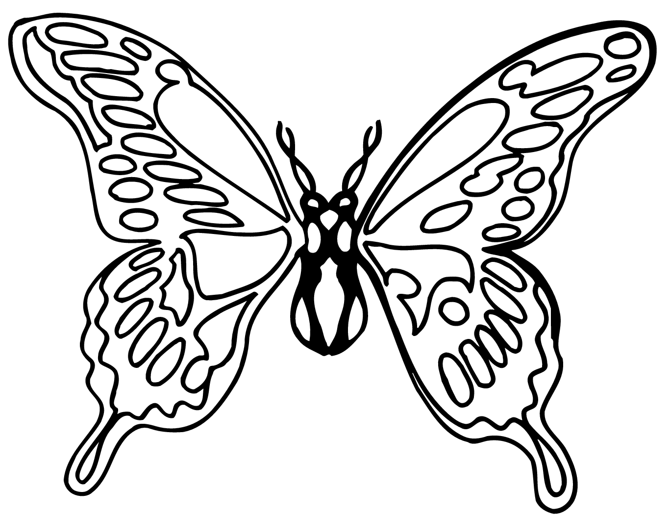 Monarch Butterfly Black And White Clipart - Clipart library