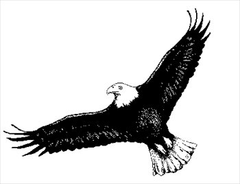 Free eagle-2 Clipart - Free Clipart Graphics, Images and Photos 