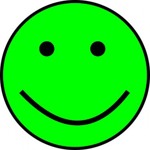 Green Smiley Face Icon - Positive Emotion Symbol for Web & Print