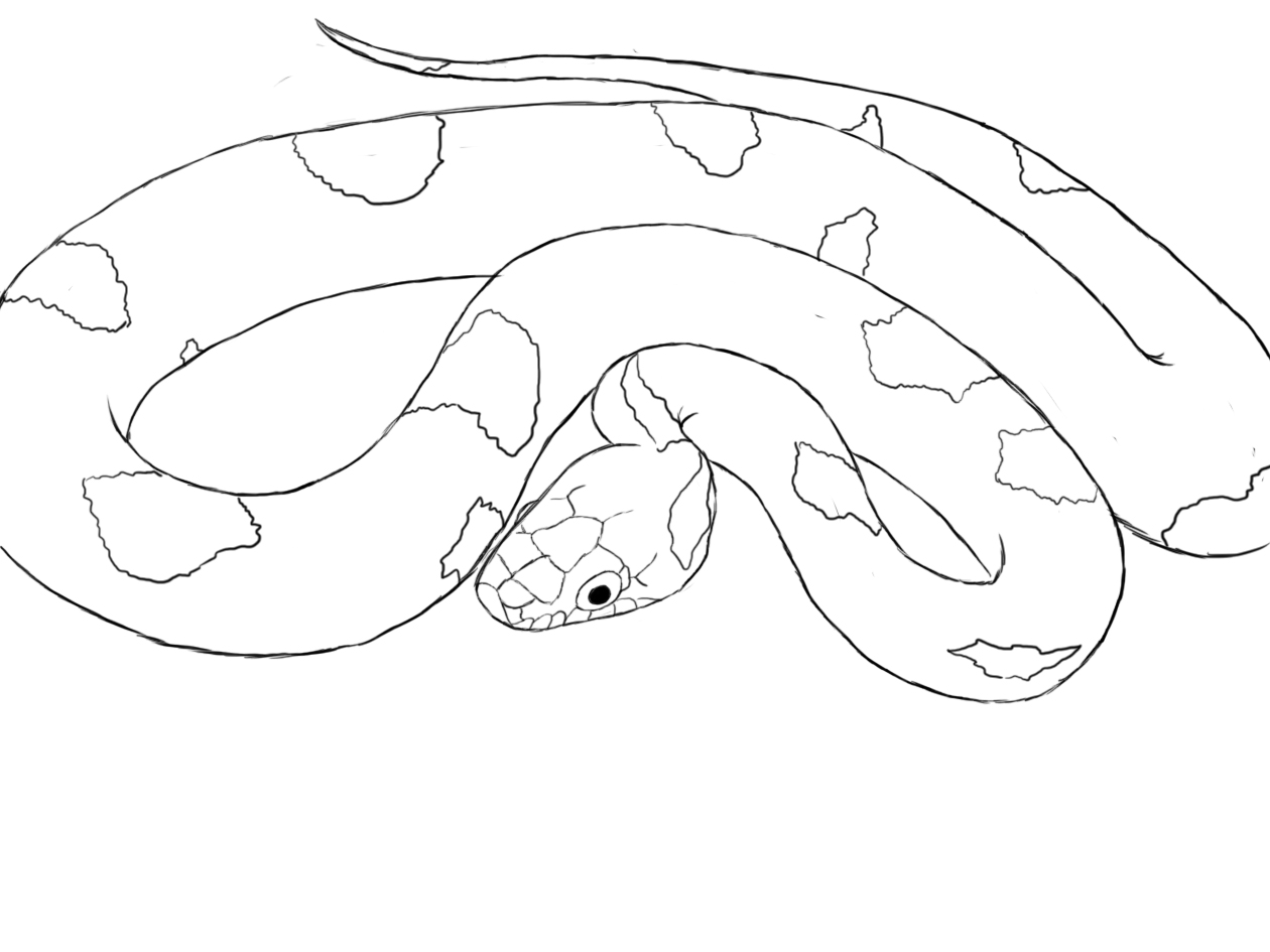 Free Snake Drawing, Download Free Snake Drawing png images, Free ClipArts  on Clipart Library