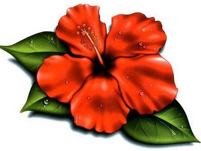 Red Hibiscus Flower Illustration - Botanical Art & Nature Imagery