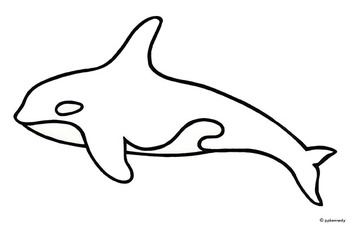 ORCA: BLACK  WHITE OUTLINE/SHADOW PUPPET TEMPLATE 