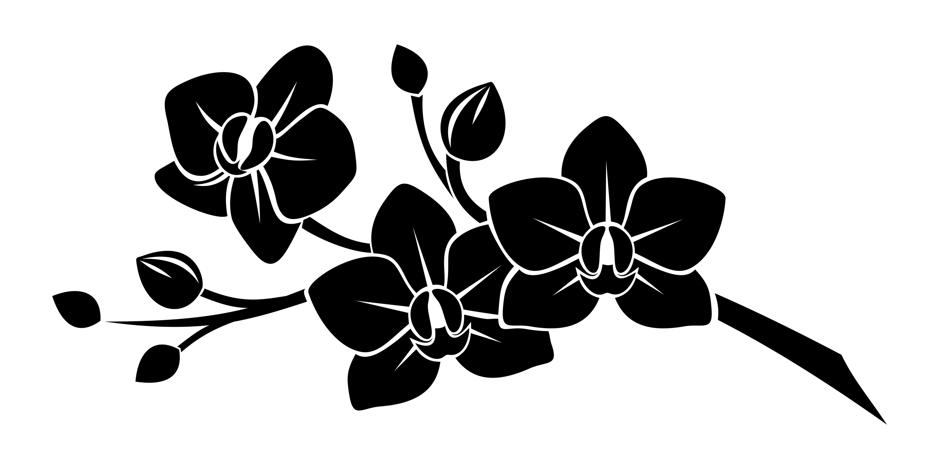 Cattleya Orchid flower set on white background. Single flower, leaf and  stem. Stem is vector pattern brush. Black and white illustration. 21553644  Vector Art at Vecteezy