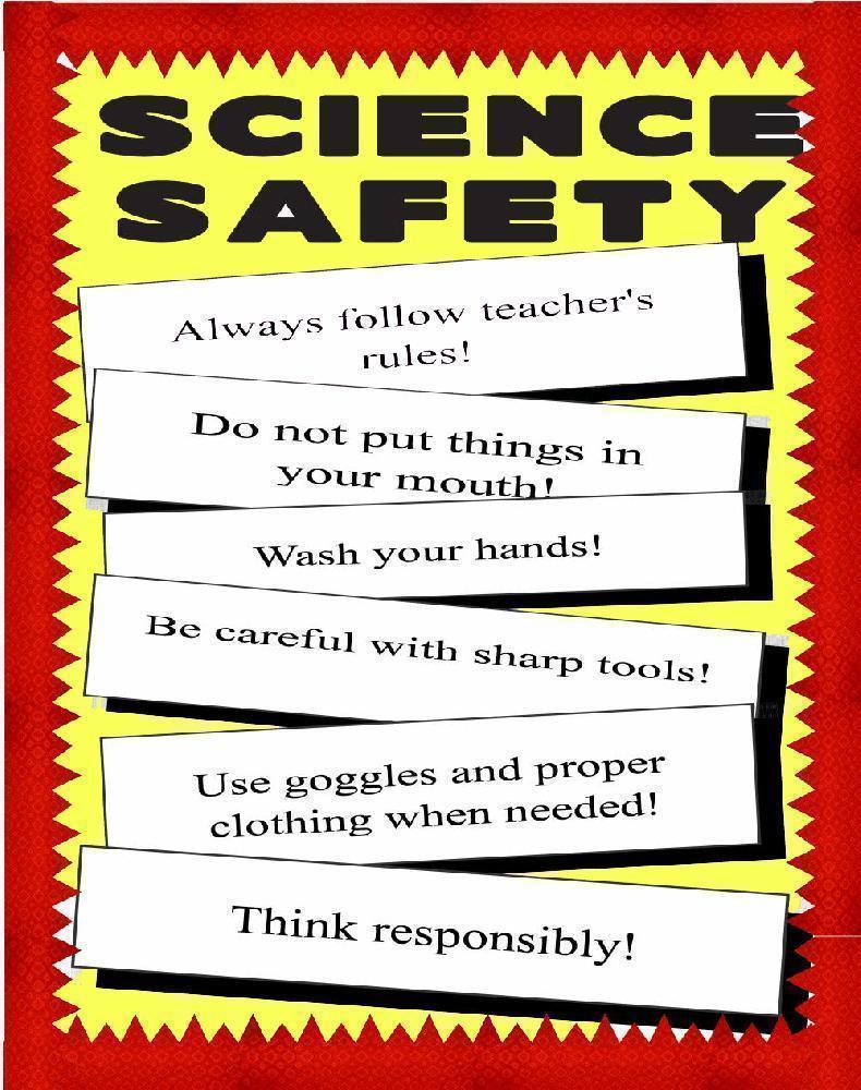 science safety rules poster - Clip Art Library