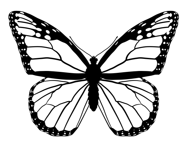 Continuous line drawing simple butterfly Vector Image