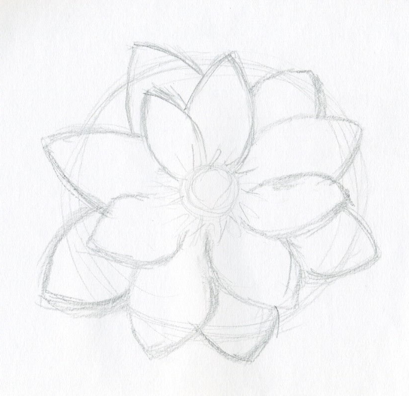 How to draw a realistic flower sketch  pencil or iPad  Vanessa Vanderhaven